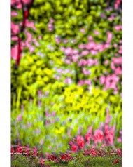 Full hd cb editing background photoshop