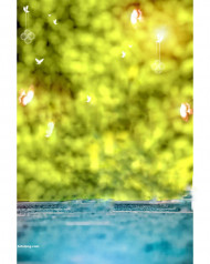 Full hd cb editing background Snapseed