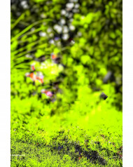 Full hd cb photo editing background