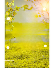 Full hd Free Cb Edit Background Photos