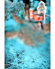 Full hd full hd cb editing background