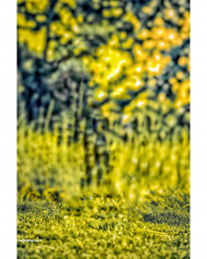 Full hd Hd cb photo editing background