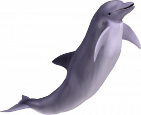 Full hd transparent background