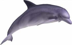 Full hd transparent png