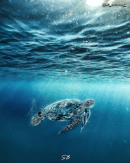 Full hd visual background (9)