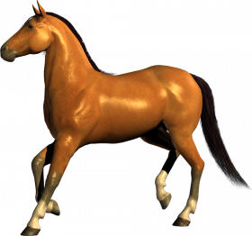 Full Horse transparent png