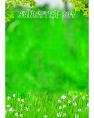 Gangstar cb editing background