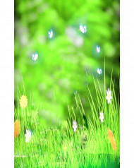 Glowing butterflies cb editing background