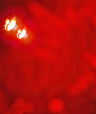 Glowing butterfly cb editing background