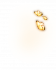 Glowing butterfly png images,butterfly transparent png images