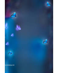 Glowing butterlies background photo editing hd