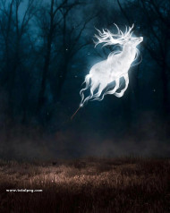 Glowing deer hd cb editing background