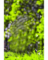 glowng butterfly cb editing background