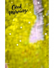 Good morning hd cb editing background