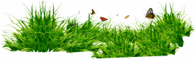 Grass editing png picsart (1)