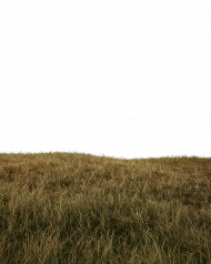 Grass Land transparent pngSurface transparent png