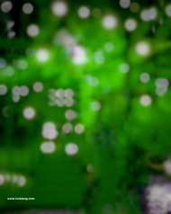 Green bokeh effect cb editing background