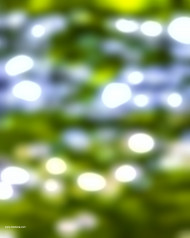 Green bokeh effect editing background