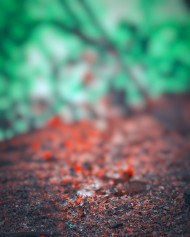 Green Cb editing background