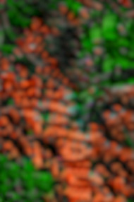 Green & orange Editing background