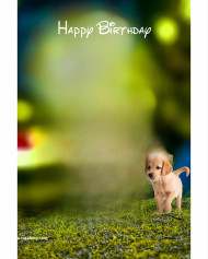 Happy birthday photoshop cb editing background