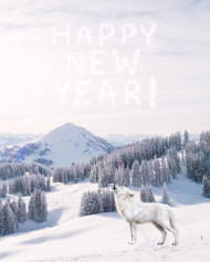 Happy new year winter editing background