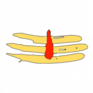 har har mahadev tilak png