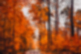 hd Blur Cb Editing Background