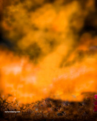 Hd Blur Cb Editing Background