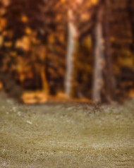 hd Blur Cb Editing Background