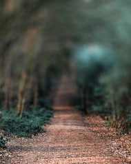 Hd blur editing background download (14)