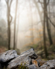 Hd blur editing background download (3)