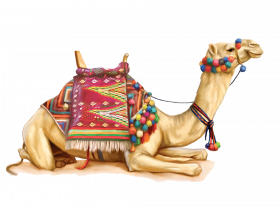 Hd camel png transparent background