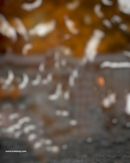 Hd Cb Editing Background