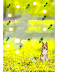 Hd  Cb Editing Background