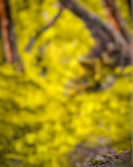 Hd cb editing background