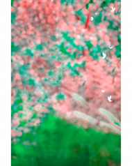 hd cb editing background