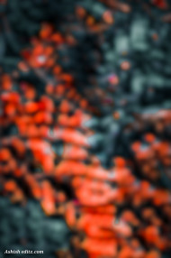 Hd cb editing background download (2)