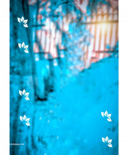 Hd cb editing background Snapseed