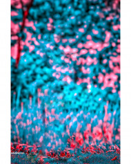 Hd cb editing background snapseed