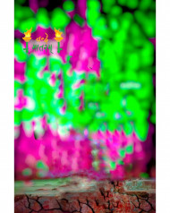 Hd cb editing background snapseed