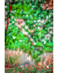 Hd cb editing background snapseed & picsart