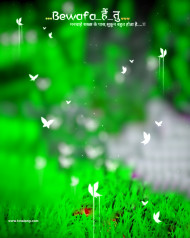 Hd cb editing background,Snapseed hd cb editing background