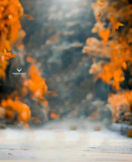 Hd cb edotong background download