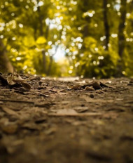 Hd cb edotong background download