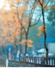 Hd cb edotong background download (2)