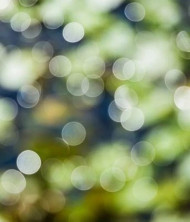 Hd cb edotong background download