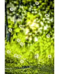 Hd cb photo editing background