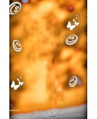 Hd cb photo editing background