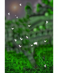 Hd cb snapseed background